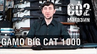 Gamo Big Cat 1000, установка газовой пружины, замена манжеты, стрельба через 