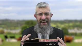 מסכת בבא מציעא דף צח - 8 דקות של לומדות ועמקות בדרך הלימוד הישיבתית [bava metsia 98]