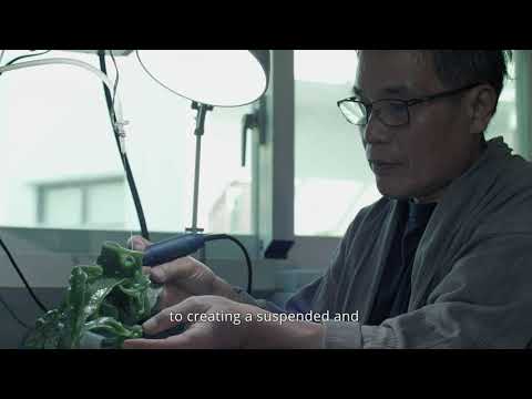 Treasures in Gold & Jade: Masterworks from Taiwan: Huang Fu-shou