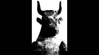 Patience / Two Armadillos