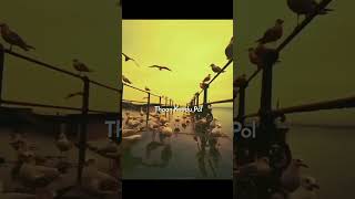 Download lagu pogattum pogattum po #naa our alien #hiphop tamizha #shortvideo mp3 Download lagu pogattum pogattum po #naa our alien #hiphop tamizha #shortvideo mp3