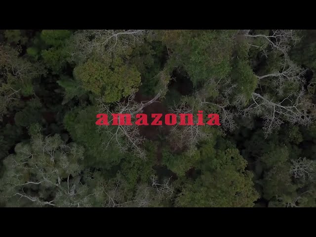 Vídeo relacionado con Banzeiro Òkòtó: L'Amazonie, le centre du monde (Feuilleton non fiction)