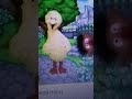 Sesame Street Episode 4023