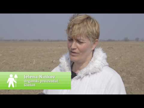 Domaćine kako radiš ep. 230  14.04.2017.