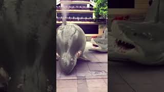 Download lagu Ikan Lumba-lumba Lucu #short #citacati #yearforyou mp3 Download lagu Ikan Lumba-lumba Lucu #short #citacati #yearforyou mp3