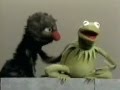 Classic Sesame Street Kermits In Lecture