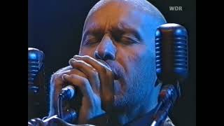 THE THE - BLUER THAN MIDNIGHT (Live)