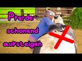 HowTo Pferdeschonend Aufsteigen Ohne Sattelrutschen Bei Breiten Pferden Tinker Mitch