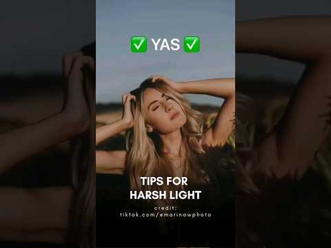 3 Tips For Harsh Light #photography