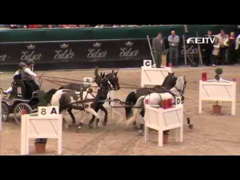 FEI World Cup Driving 2012:13 Leipzig   Koos De Ronde, 1st place