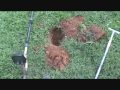 Metal Detecting On Fathers Day Nugget Noggin