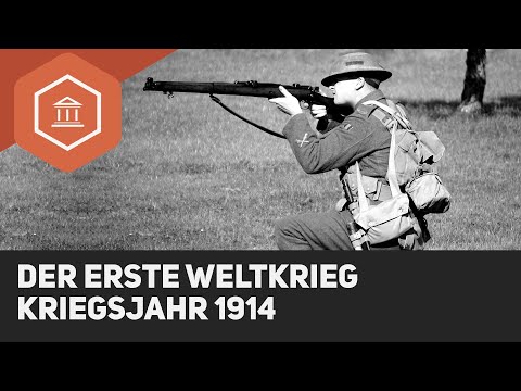 The first phase of the First World War: the war year 1914