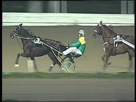 Trotto 19/11/2015 - 6° corsa