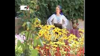 Oana  Cretu  -  Coragheasca