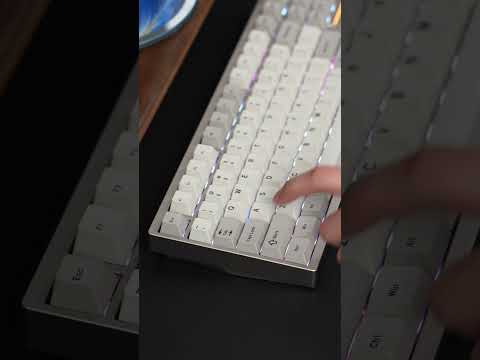 Which P87 is your favorite? 🤔