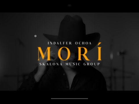 Indalfer Ochoa - Morí  ( Visualizer)