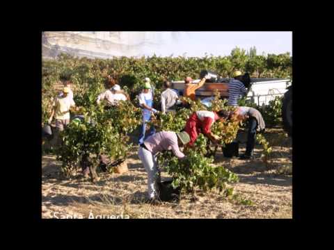 Sotillo de la Ribera Burgos