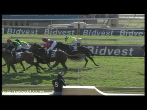 20160608 Scottsville Race 3 won by VINE STREET STAR