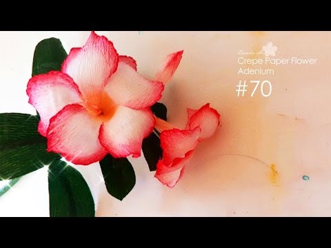 Crepe paper flower "Adenium" making tutorial n.70 | DIY | Healing