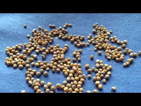 Impuls von Weihbischof Ansgar am 26.10.2016