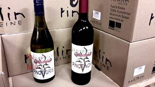 Geoff Tate Insania | Pinot Gris &amp; Pinot Noir | Available in the USA