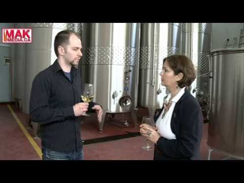 Family Winery Filovski - Tikves Wine Region - Macedonia