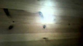 Adam Kay suman biswas London Underground