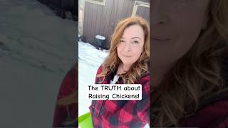 THE TRUTH ABOUR CHICKEN BREEDS!