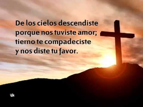 290   Fuente de la vida eterna wmv pista)(480p H 264 AAC)