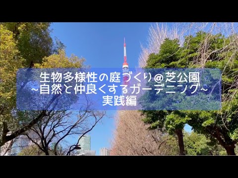 園芸 アイビー、生物多様性にとって有益な植物