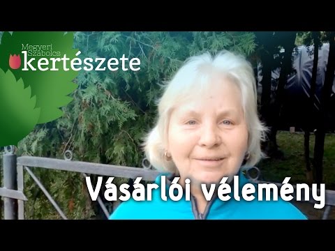 Tulipánfa vásárlás -  Vásárlói vélemény - Megyeri Szabolcs Kertészet