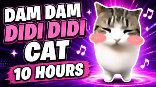 Dam Dam Didi Didi Cat 10 Hours