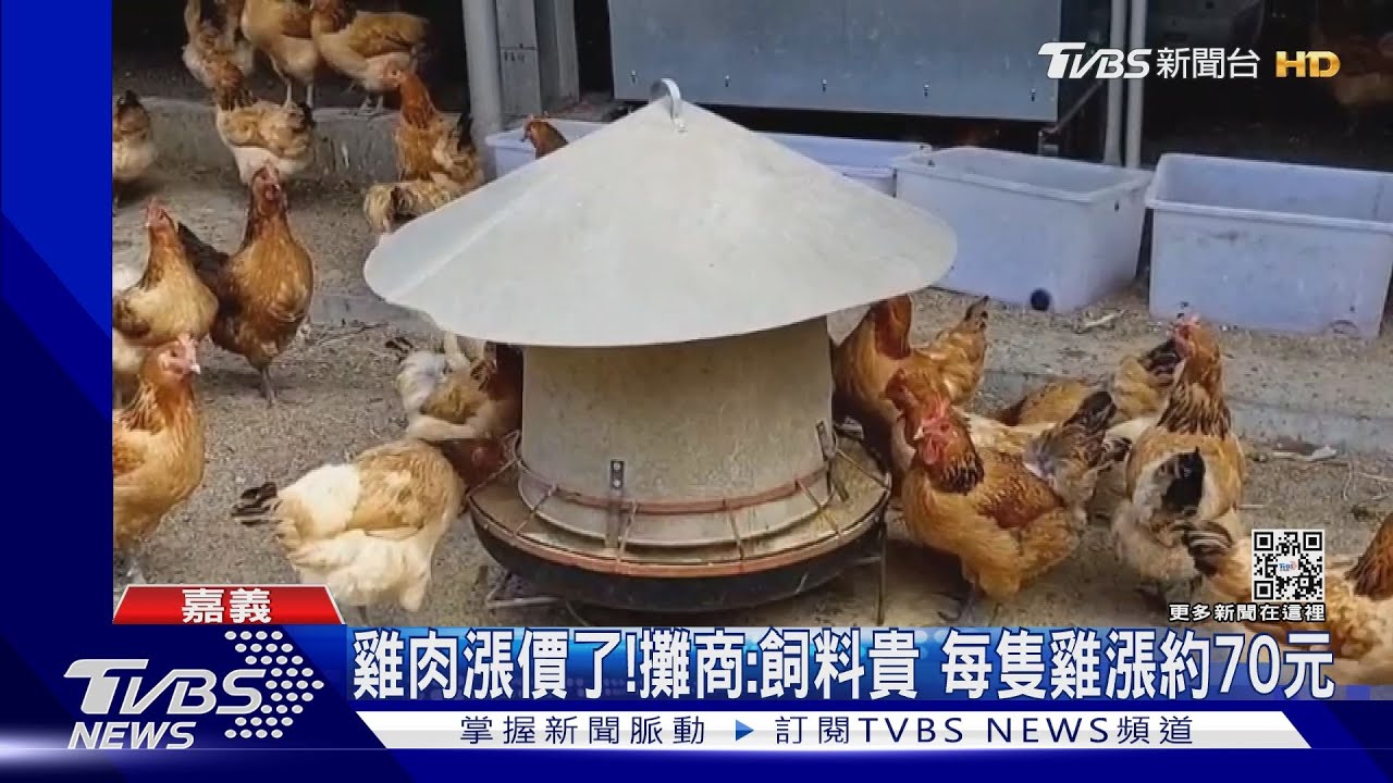 缺蛋後雞肉也漲了! 攤商:飼料貴每隻漲約70元
