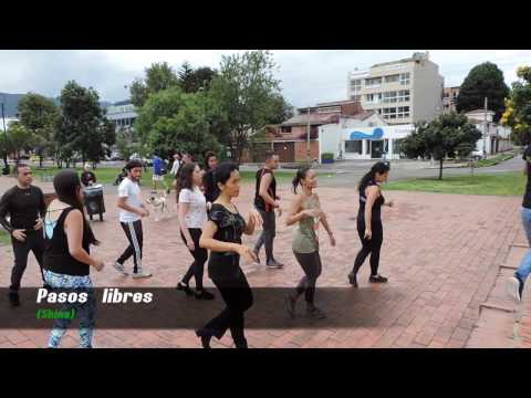 Bachata  al parque