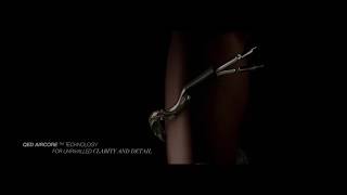 QED Supremus (2 x 3 m) (photo supp. n°4)