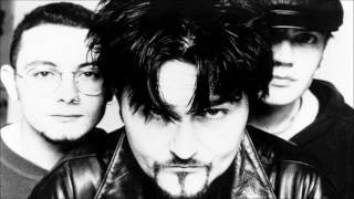 Therapy? - Perversonality (Peel Session)