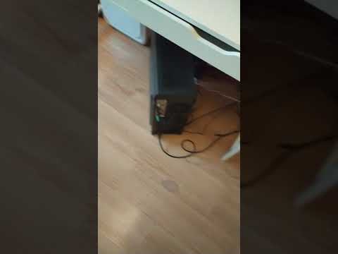 logitech g512 carbon gx brown ploblem