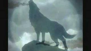 Paul Winter - Wolf Eyes