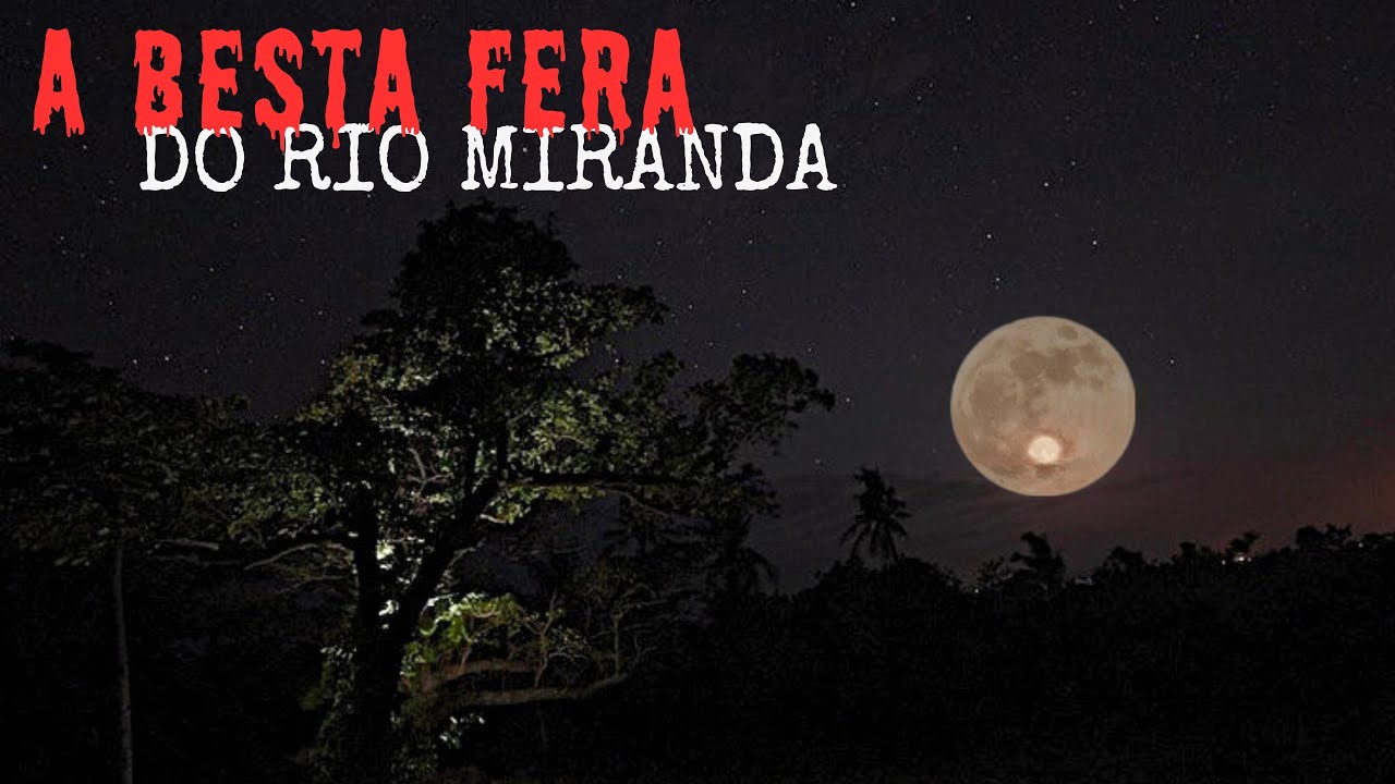A BESTA FERA DO RIO MIRANDA + UM RELATO.