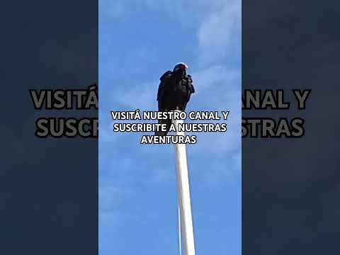 BUITRES EN MESETA DE ARTIGAS, CHAPICUY, PAYSANDÚ