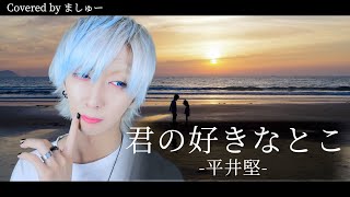 【眠れない夜のお供に】君の好きなとこ / 平井堅を歌ってみた -ver. ましゅー￤Vocal Cover￤Ken Hirai￤Kimino Sukinatoko