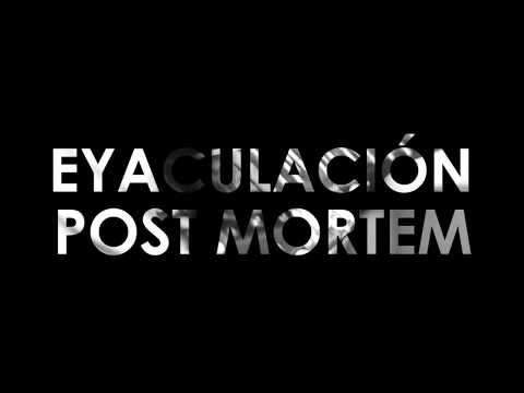 TU VIENES DE NEGRO Y NOSOTROS VOLVEMOS DE GRIS - EYACULACIÓN POST MORTEM