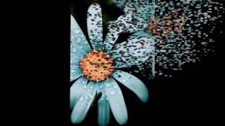 Ando como Hormiguita Silvio Rodríguez