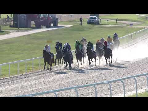 2019.08.18. 08. futam - LEPSÉNYI HENDIKEP (V.o.) (szintetikus pálya)