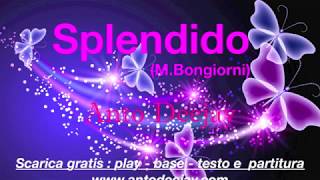 SPLENDIDO (M.Bongiorni) Linea Classic