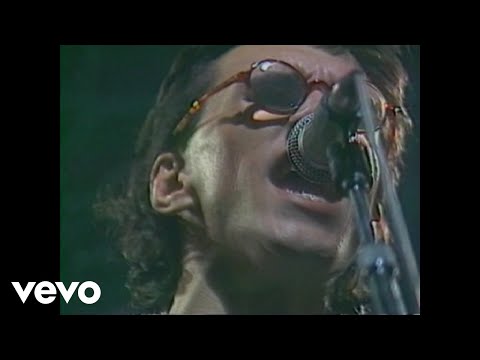 Los Enanitos Verdes - El Extraño del Pelo Largo (Official Video)