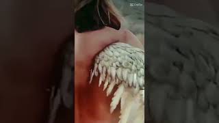 Download lagu Bertransformasi menjadi Sayap Malaikat mp3 Download lagu Bertransformasi menjadi Sayap Malaikat mp3