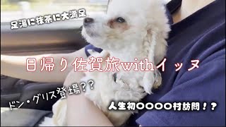 日帰り佐賀旅行 VLOG　＃犬のいる暮らし#いぬすたぐらむ #いぬ 