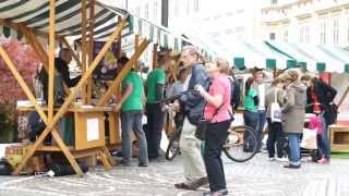 Ljubljana podjetniško mesto 2014 - PVSP predstavitev