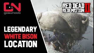 Red Dead Redemption 2 - Legendary White Bison Location